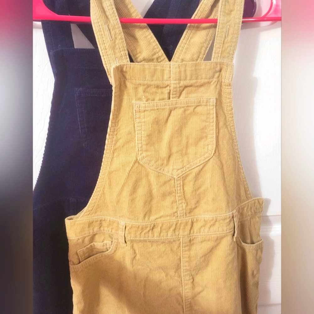 2 dress overalls